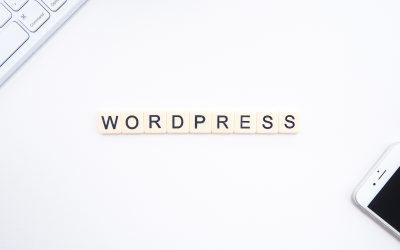 CMS : pourquoi choisir wordpress ?